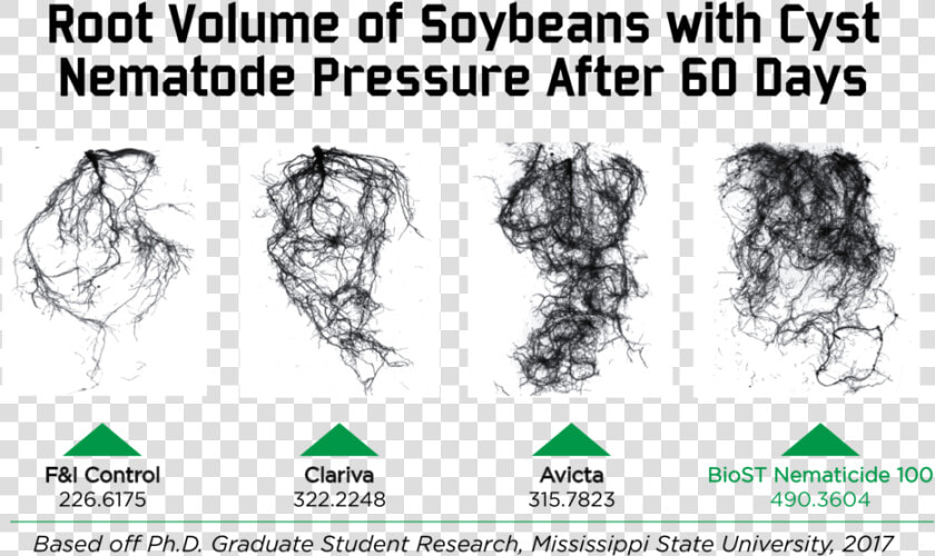 Nematicide Root Volume Comparison  HD Png DownloadTransparent PNG