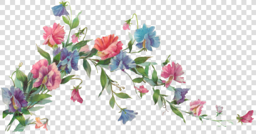  flower  flowers  flora  floral  vintage   Transparent Background Floral Png  Png DownloadTransparent PNG