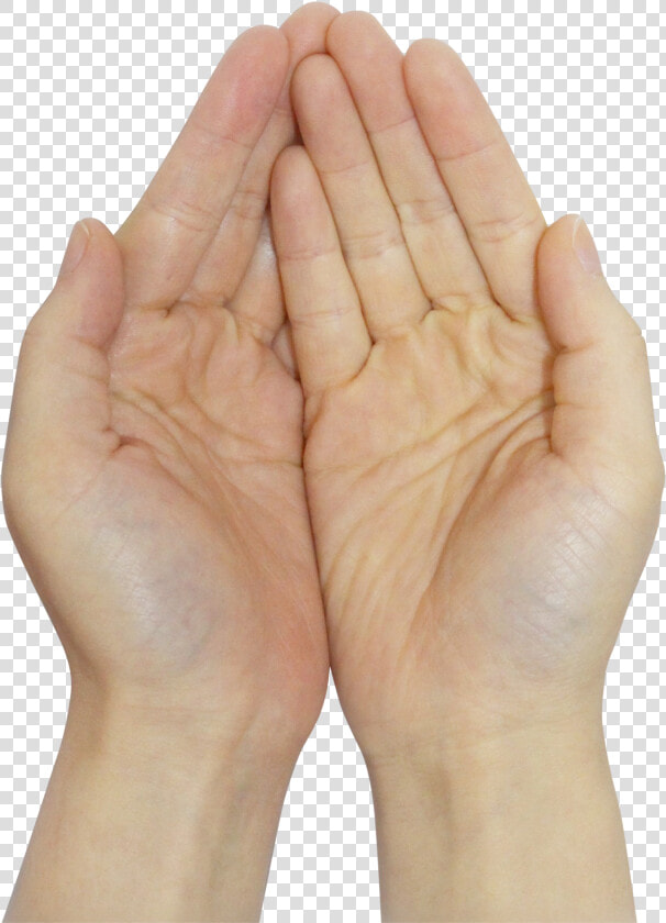 Praying Hands Png Image   Transparent Pray Hand Png  Png DownloadTransparent PNG