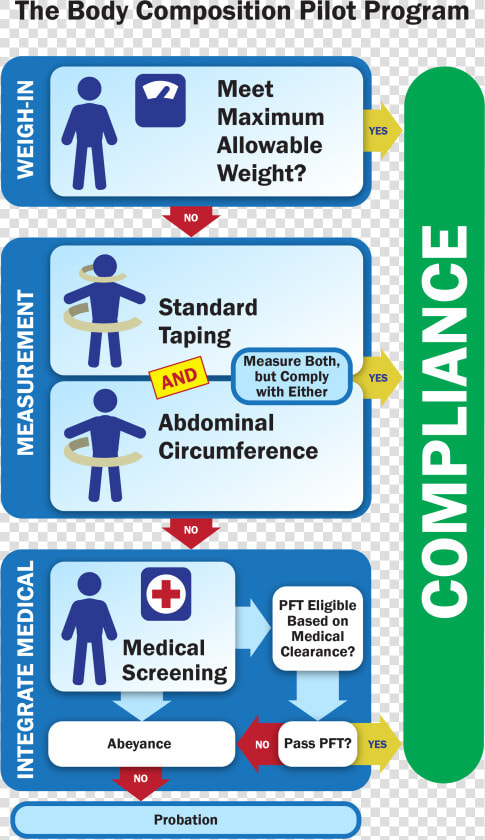 Coast Guard Weight Standards 2019  HD Png DownloadTransparent PNG