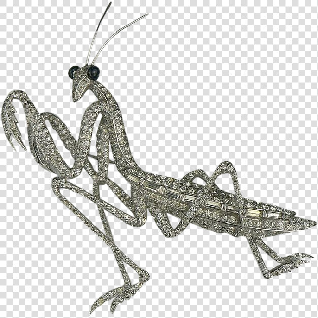 Mantidae  HD Png DownloadTransparent PNG