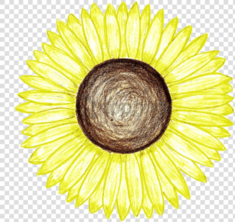 Free Png Sunflower Png Tumblr Png Image With Transparent   Spiritual Sunflower Inspirational Quotes  Png DownloadTransparent PNG