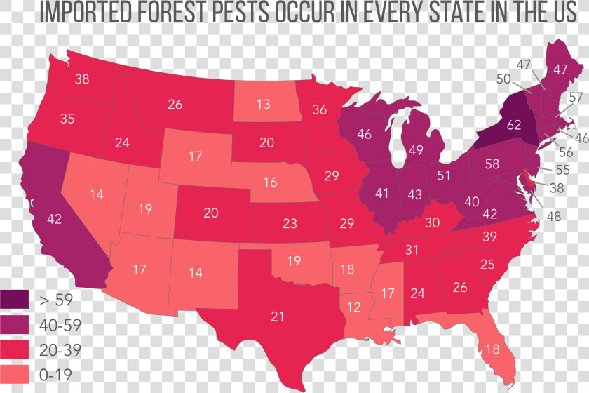 Imported Forest Pests Cc By Leslie Tumblety cary Institute   Hotspots In The Usa  HD Png DownloadTransparent PNG