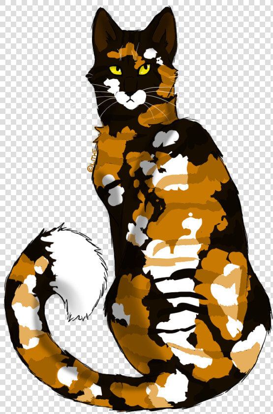 Cat Clipart Calico Tabby   Domestic Short haired Cat  HD Png DownloadTransparent PNG