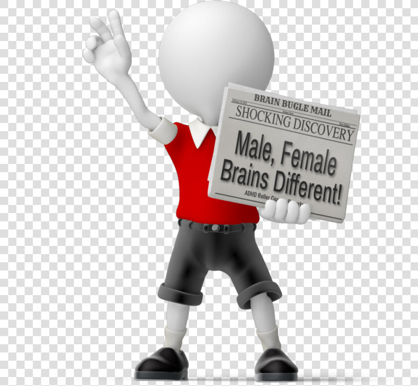 Male And Female Brain Differences   News  HD Png DownloadTransparent PNG