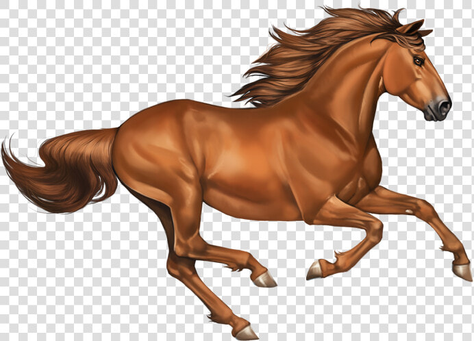 Transparent Chestnut Clipart   Horse Mustang Png  Png DownloadTransparent PNG