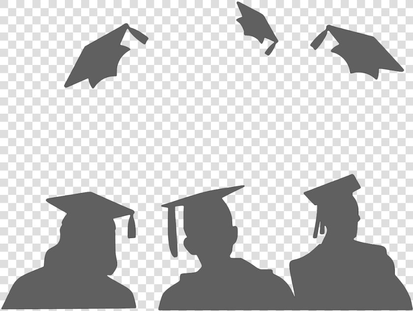 Graduation Design Png   Graduation Transparent Clip Art  Png DownloadTransparent PNG