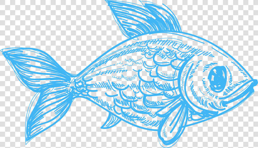 Drawing Deep Sea Creature Pencil Sketch Fish  HD Png DownloadTransparent PNG