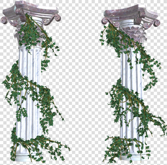 Vines Transparent Png   Png Download   Greek Columns With Vines  Png DownloadTransparent PNG