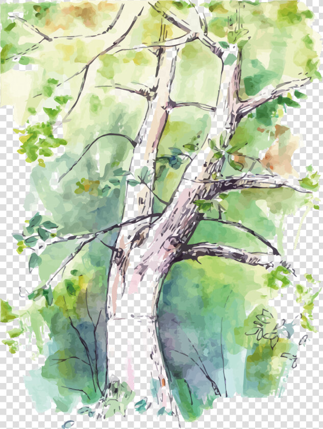  ftestickers  watercolor  tree   Watercolor Trees In Background  HD Png DownloadTransparent PNG