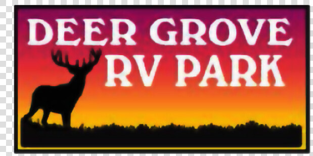 Deer grove   Burro  HD Png DownloadTransparent PNG