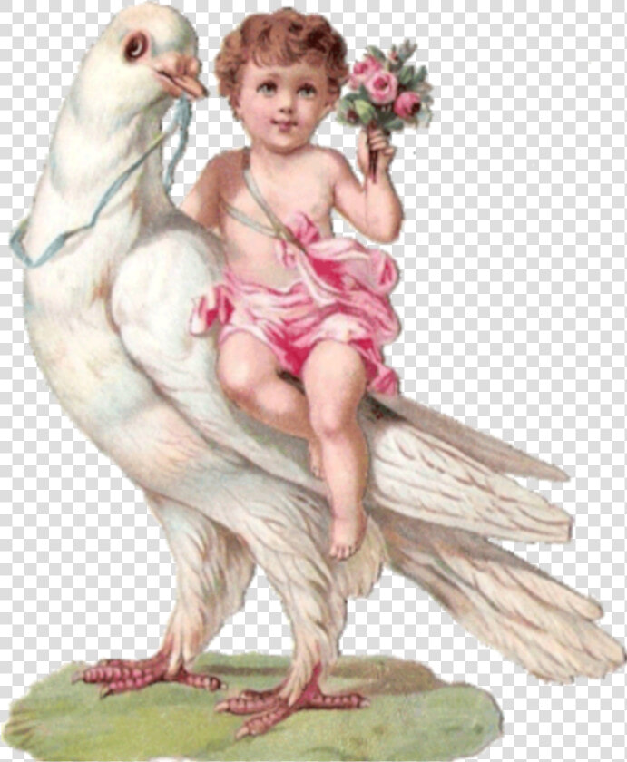  angel  aesthetic  bird  flowers  painting  freetoedit   Victorian Scrap Child Bird  HD Png DownloadTransparent PNG