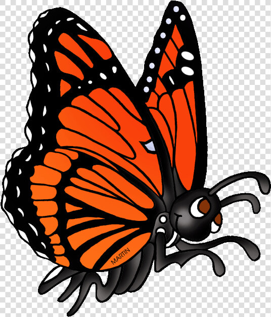 Clip Art Viceroy Clipart   Animals Can Butterfly Clipart  HD Png DownloadTransparent PNG