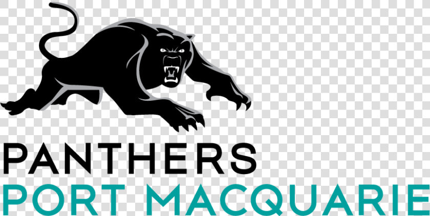 Panther Logo Png   Panthers Port Macquarie Logo  Transparent PngTransparent PNG