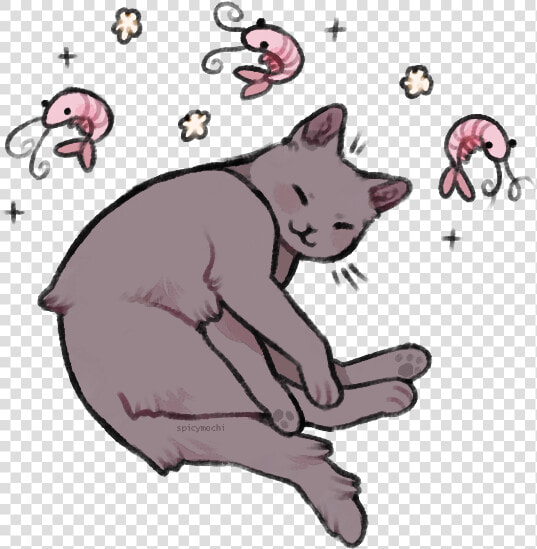 Shrimp Pose   Cat Shrimp  HD Png DownloadTransparent PNG