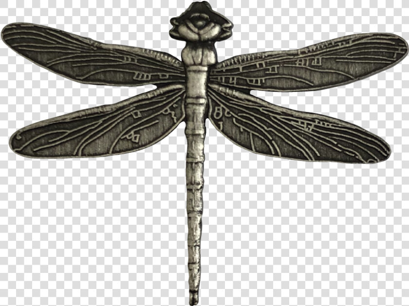 Hawker Dragonflies  HD Png DownloadTransparent PNG