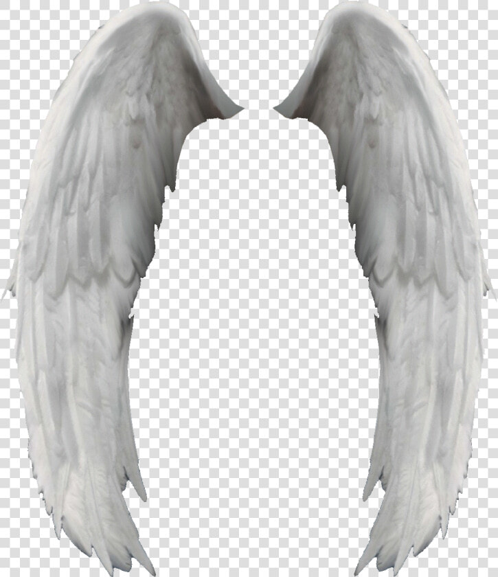 Search Results For “angel Wings Png” Calendar   Angel Wings  Transparent PngTransparent PNG