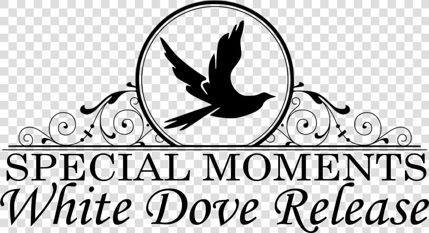 Transparent Clipart Doves For Funeral  HD Png DownloadTransparent PNG