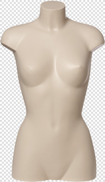 Plastic Torsos Code 120κ Ε Title Plastic Torsos Code   Mannequin  HD Png DownloadTransparent PNG