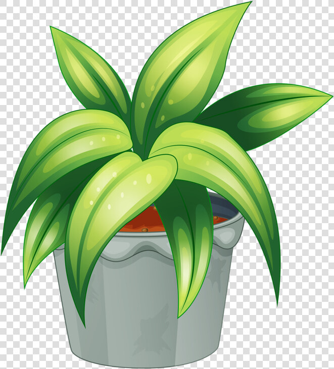 Potted Flowers  Flowers Garden  Potted Plants  Garden   Leafy Plants  HD Png DownloadTransparent PNG