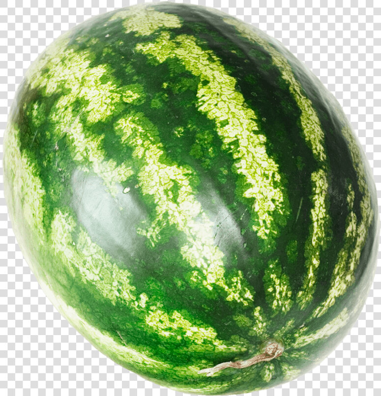 Watermelon   Png Images Water Melon  Transparent PngTransparent PNG