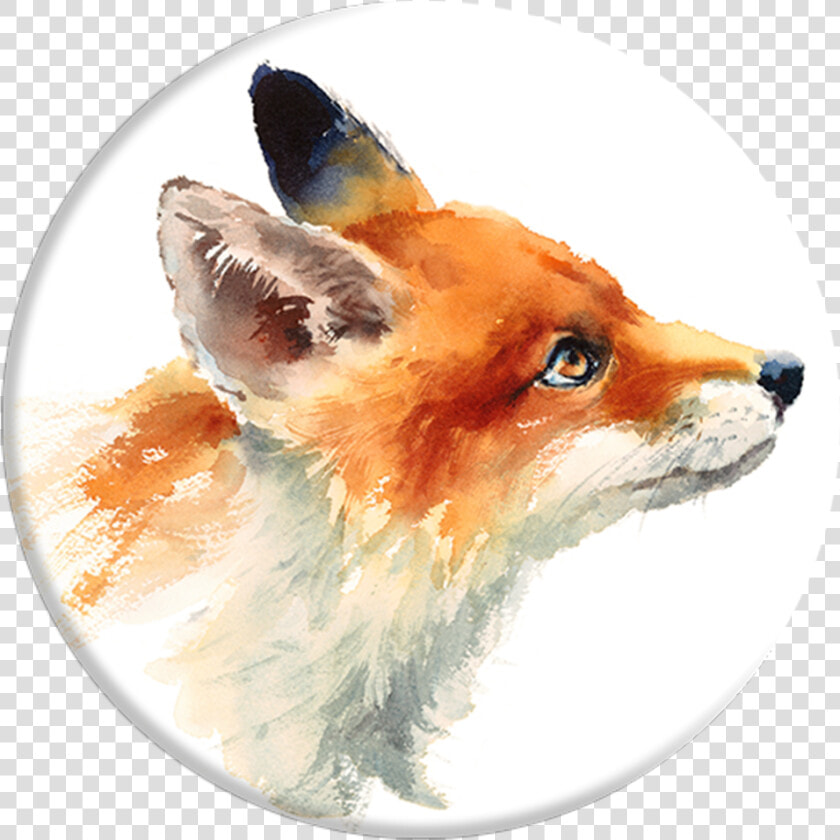 Popsockets Grip Fox  Popsockets   Fox Face Drawing Side  HD Png DownloadTransparent PNG