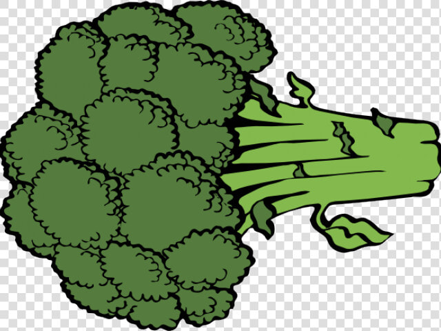 Broccoli Cliparts   Broccoli Clip Art  HD Png DownloadTransparent PNG