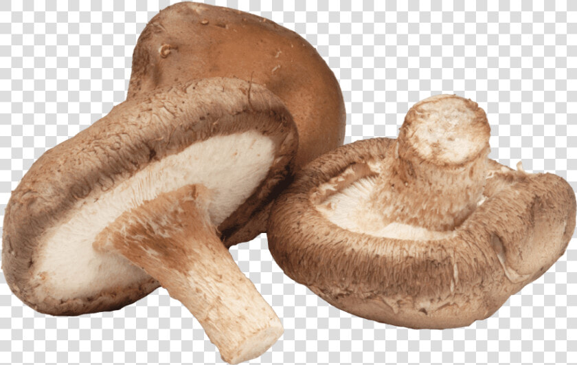 Shiitake Mushroom  HD Png DownloadTransparent PNG