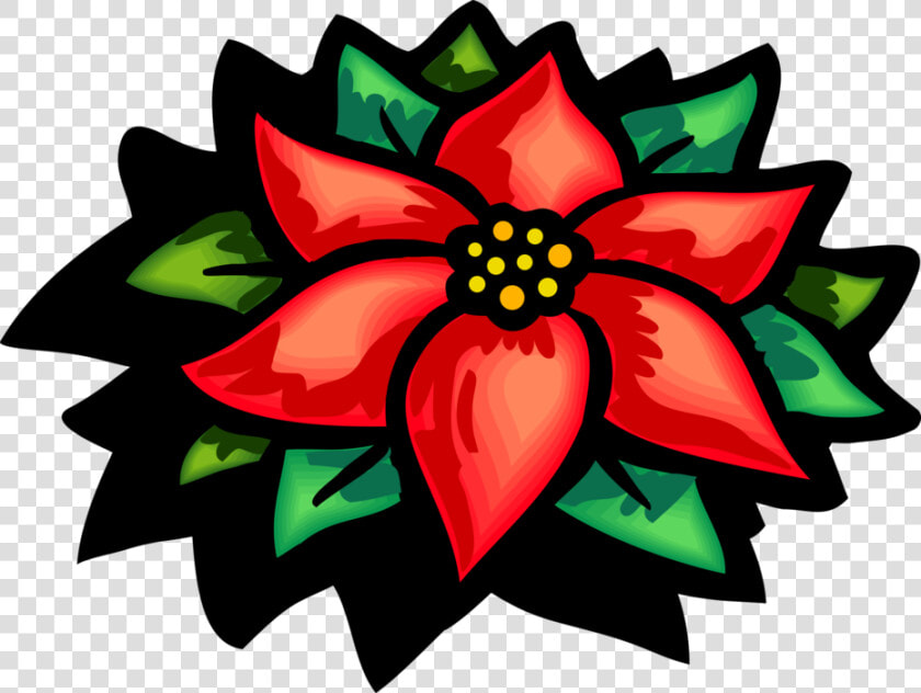 Vector Illustration Of Poinsettia Traditional Christmas   Poinsettia Clipart  HD Png DownloadTransparent PNG