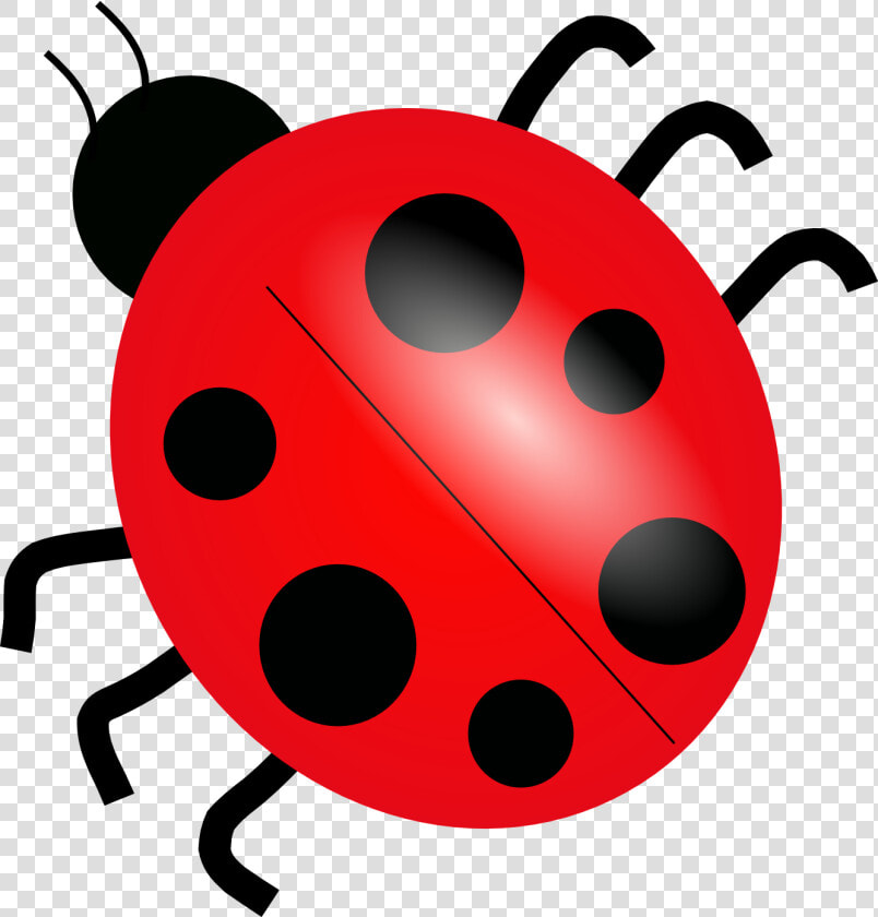 Download Ladybug Png Picture   Clipart Ladybug  Transparent PngTransparent PNG