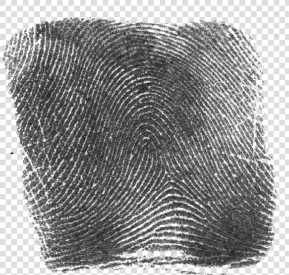 Clip Art Fingerprint Image   Ink Fingerprint Png  Transparent PngTransparent PNG