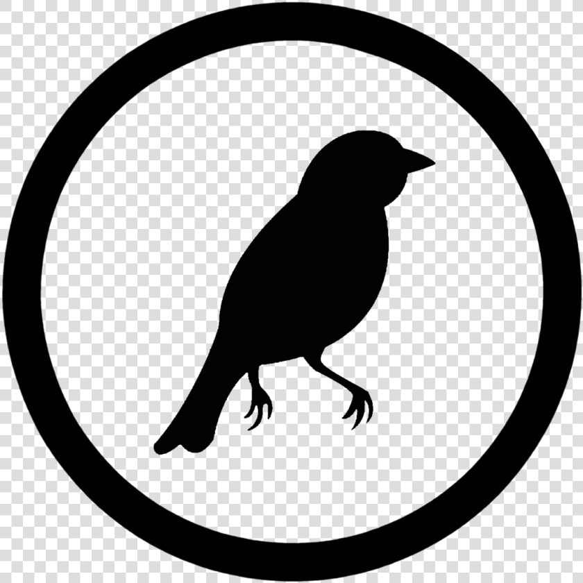 Bird Creatures Life Free Photo   Copyright Symbol  HD Png DownloadTransparent PNG