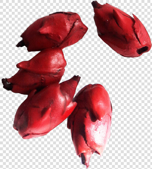 Fava De Pomba Gira  HD Png DownloadTransparent PNG