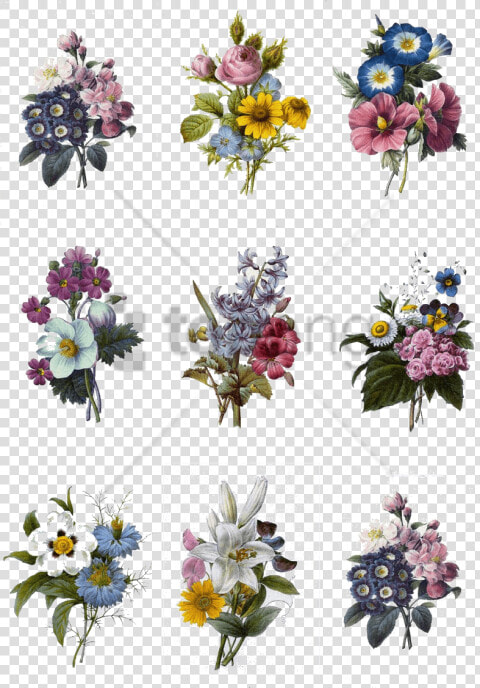 Free Png Colorful Flowers Tattoo Designs Png Image   Carnation And Sunflower Tattoo  Transparent PngTransparent PNG