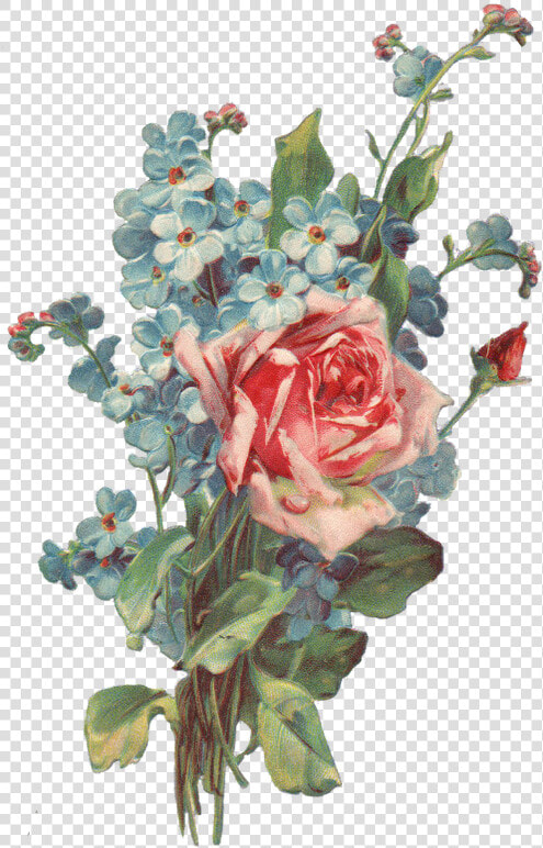 Http     2   Bp   Blogspot     Aesthetic Pictures Of   Forget Me Not Rose Tattoo  HD Png DownloadTransparent PNG