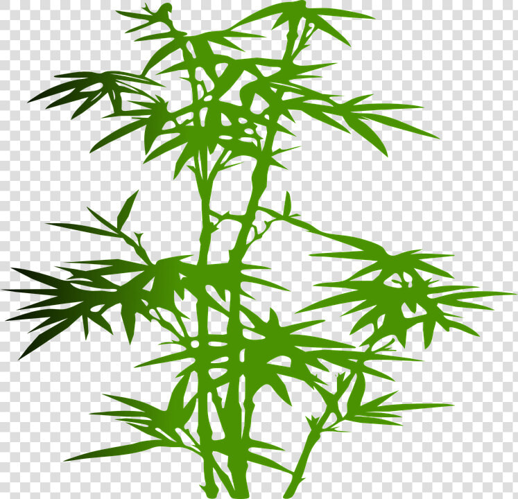 Bamboo  Plant  Green  Leaves  Zen  Japanese  Tropical   Bamboo Transparent Cartoon  HD Png DownloadTransparent PNG