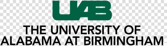 University Of Alabama At Birmingham  HD Png DownloadTransparent PNG