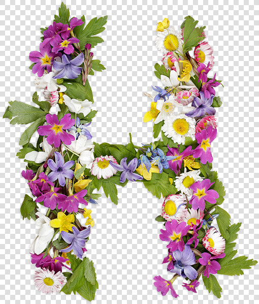 Flower Letters Font   Letters With Flowers Font  HD Png DownloadTransparent PNG