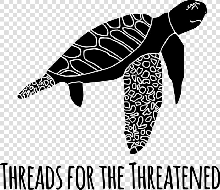 Transfer Baby Sea Turtle   Hawksbill Sea Turtle  HD Png DownloadTransparent PNG