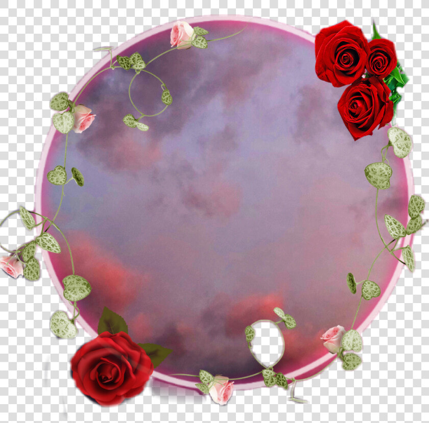  aesthetic  border  circle  vines  roses  doodle   Flower Vines Aesthetic Png  Transparent PngTransparent PNG