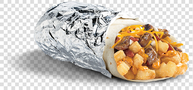 Chipotle Burrito Transparent Background  HD Png DownloadTransparent PNG