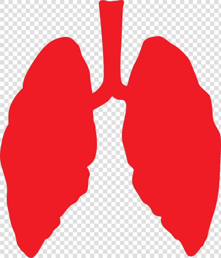 Pulmones  Pulmón  De Salud  Médica  Humana  Anatomía   Amazon Rainforest Fire Lungs Of The Earth  HD Png DownloadTransparent PNG