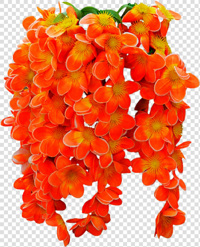 Png Images Of Tropical Flower Vines   Tropical Flowers Png Transparent  Png DownloadTransparent PNG