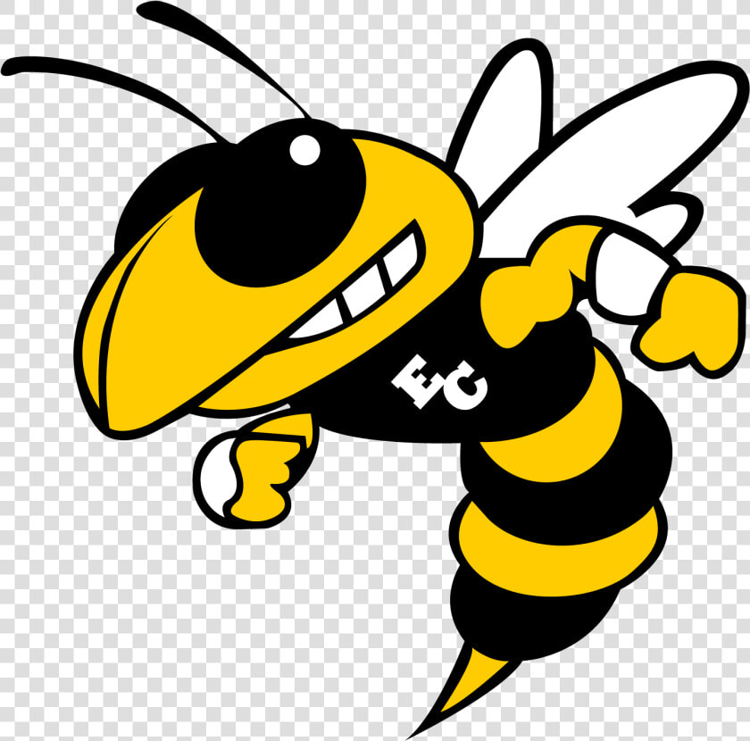 School Logo   Woodford County High School Mascot  HD Png DownloadTransparent PNG