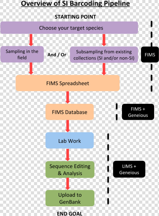 Images si Barcoding Pipeline   Barcode Workflow  HD Png DownloadTransparent PNG