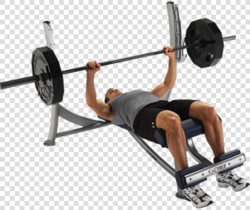 Cybex   Cybex Decline Bench Press  HD Png DownloadTransparent PNG