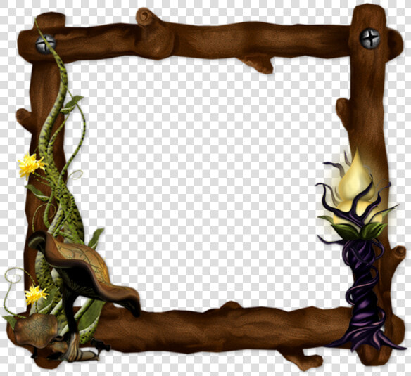 Frames  Frame  Rahmen  Quadro  Png   Transparent Enchanted Forest Png  Png DownloadTransparent PNG