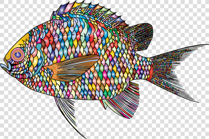 Fish  Animal  Ocean  Underwater  Abstract  Colorful   Illustration  HD Png DownloadTransparent PNG