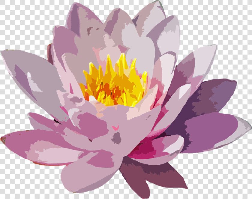  watercolor  flower  watercolour  purpleflower  petals   Water Lily Vector Png  Transparent PngTransparent PNG