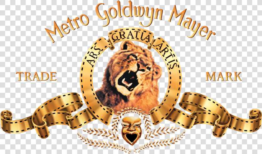 Metro Goldwyn Mayer Logo  HD Png DownloadTransparent PNG